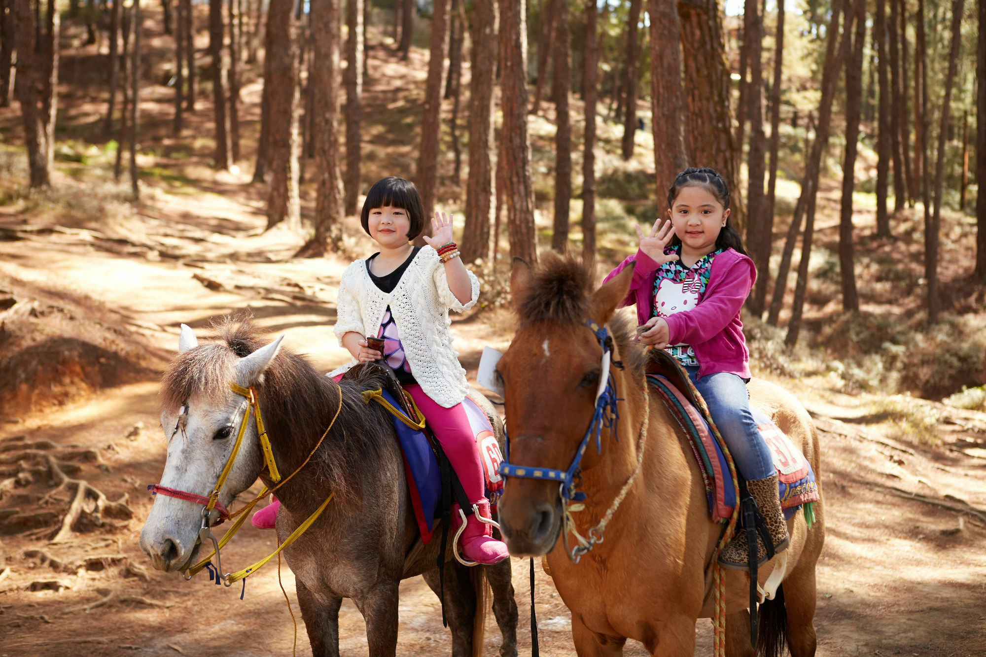 The Manor At Camp John Hay Hotel Baguio City Buitenkant foto